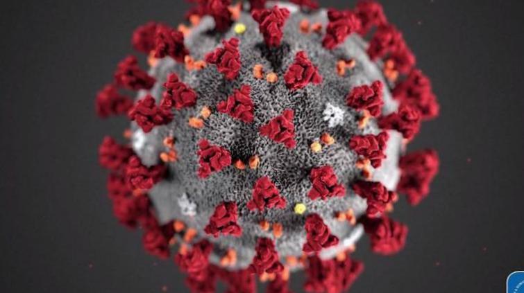 Nouveaux cas de coronavirus inférieurs à 5000 pour la première fois en une semaine